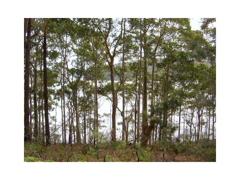 Kings Point NSW 2539