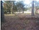 Lake Tabourie NSW 2539
