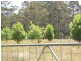 Monga NSW 2622