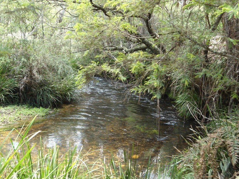 Monga NSW 2622