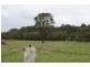 Moruya NSW 2537
