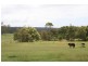 Moruya NSW 2537