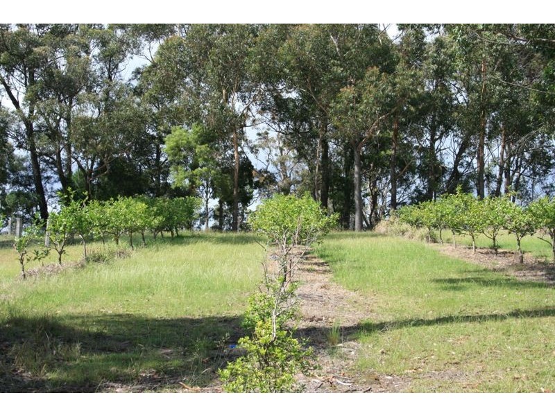 Turlinjah NSW 2537