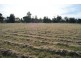 Boree Creek NSW 2652