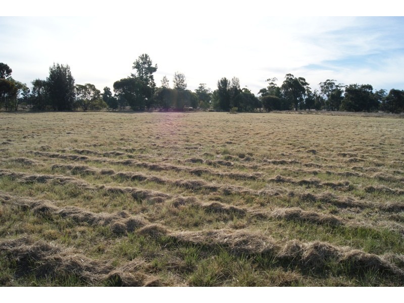 Boree Creek NSW 2652