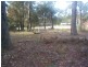 Lake Tabourie NSW 2539