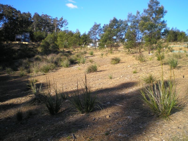 Long Beach NSW 2536