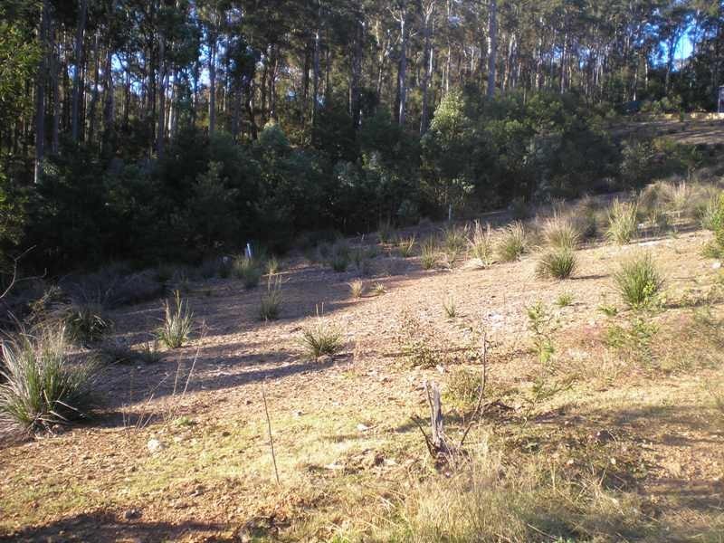 Long Beach NSW 2536