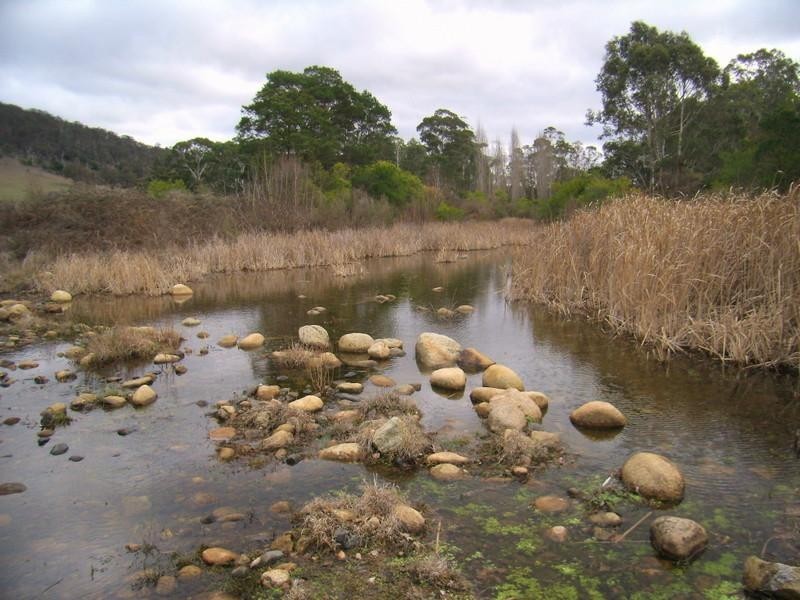 Rocky Hall NSW 2550