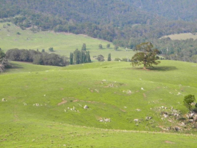 Rocky Hall NSW 2550