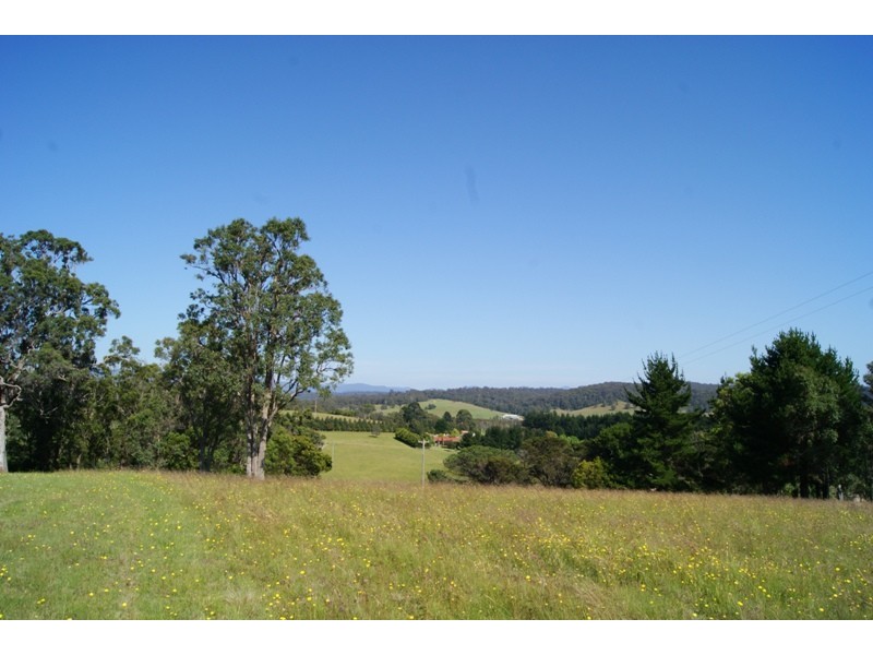 Coila NSW 2537