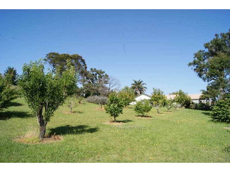Coila NSW 2537