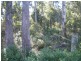 Nelligen NSW 2536