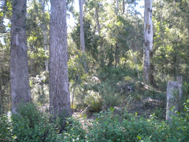 Nelligen NSW 2536
