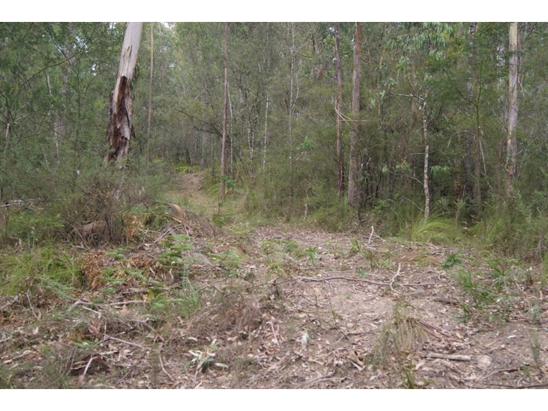Nelligen NSW 2536