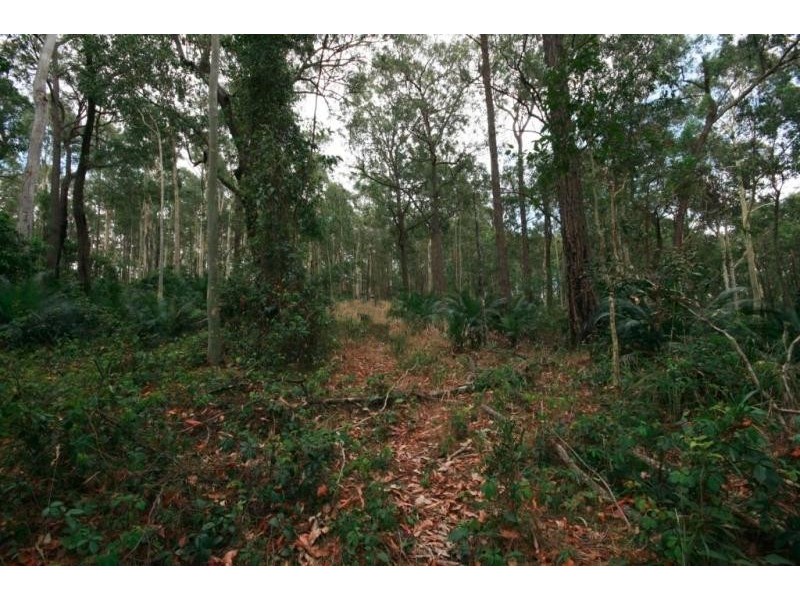 Nelligen NSW 2536