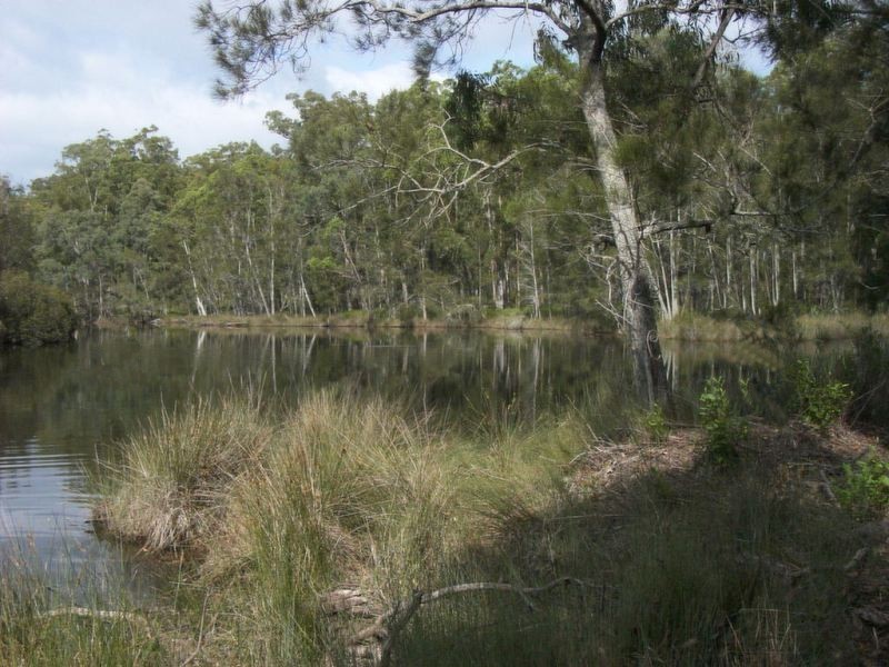 Nelligen NSW 2536