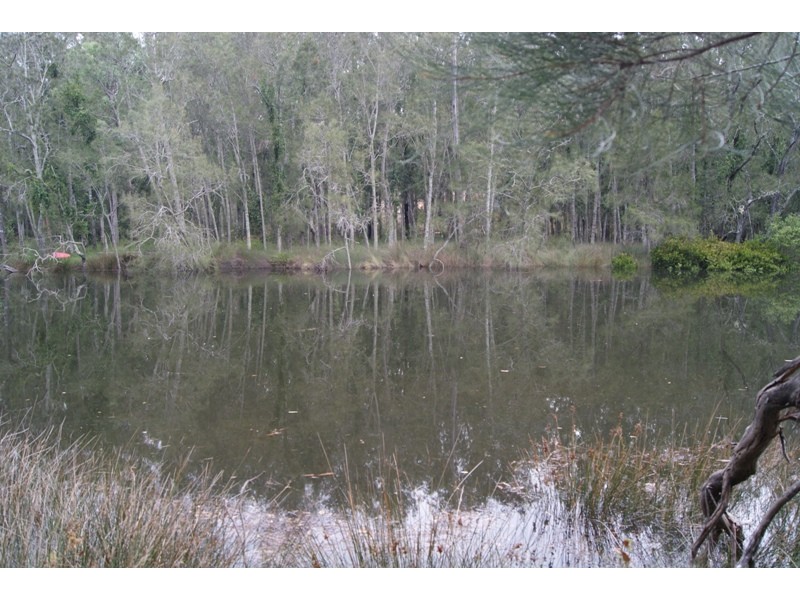 Nelligen NSW 2536