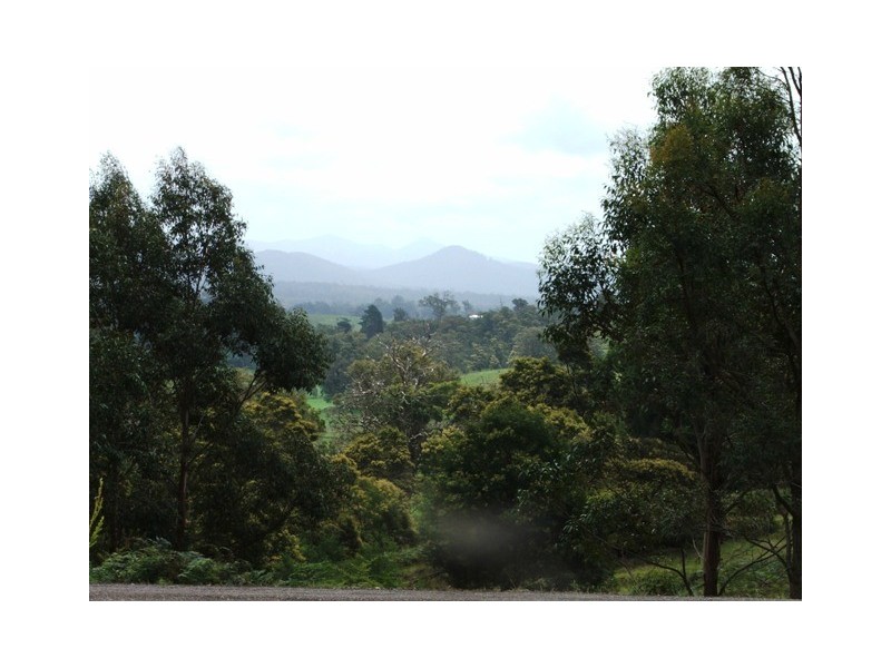 Bodalla NSW 2545