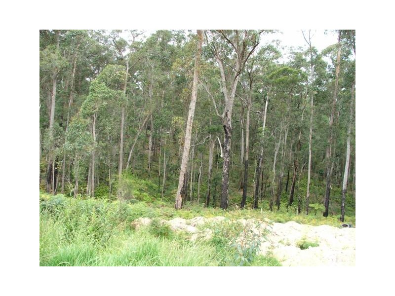 Bodalla NSW 2545