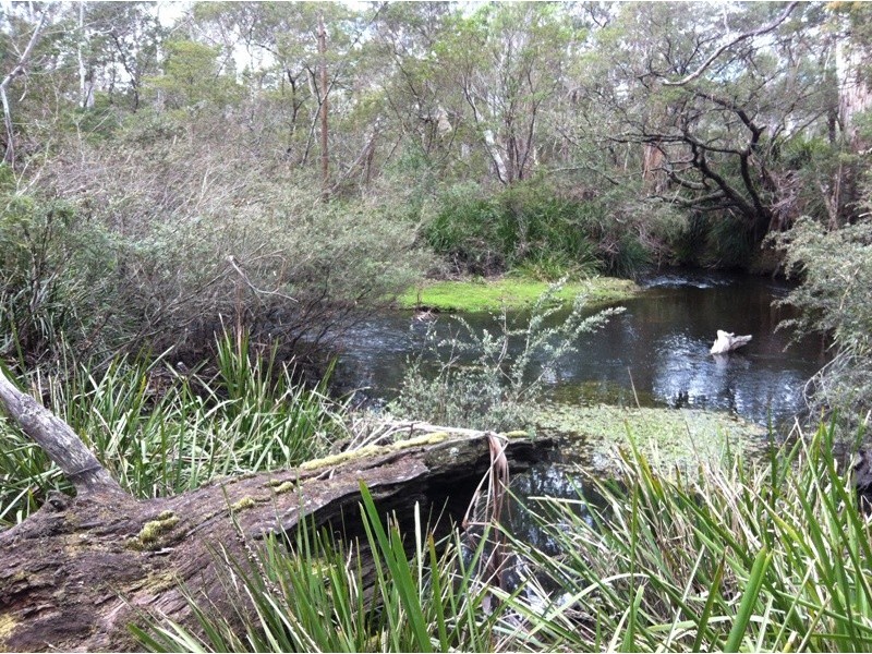 Monga NSW 2622