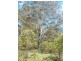 Monga NSW 2622