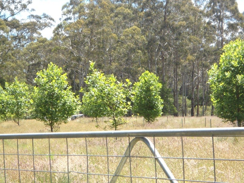 Monga NSW 2622