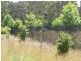 Monga NSW 2622