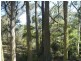 Monga NSW 2622