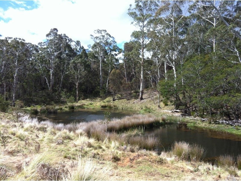 Monga NSW 2622