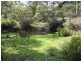 Monga NSW 2622