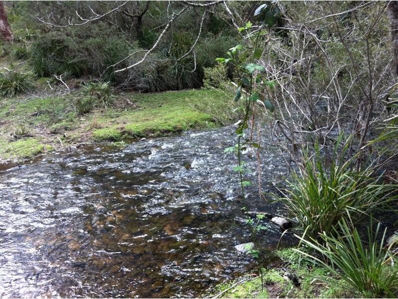 Monga NSW 2622