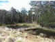 Monga NSW 2622