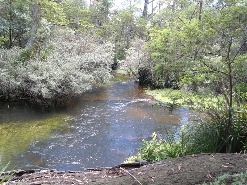 Monga NSW 2622