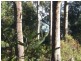 Long Beach NSW 2536
