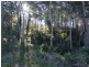 Long Beach NSW 2536