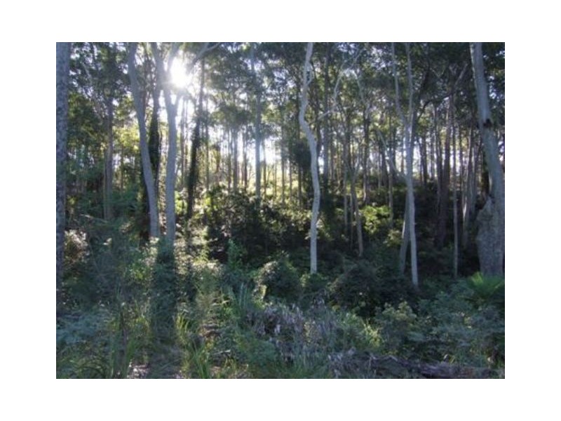 Long Beach NSW 2536
