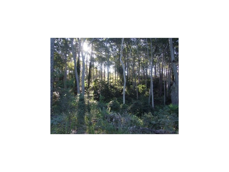 Long Beach NSW 2536