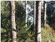 Long Beach NSW 2536