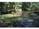 Deua River Valley NSW 2537