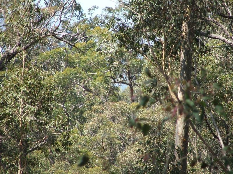 Batemans Bay NSW 2536