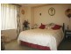 Moruya NSW 2537