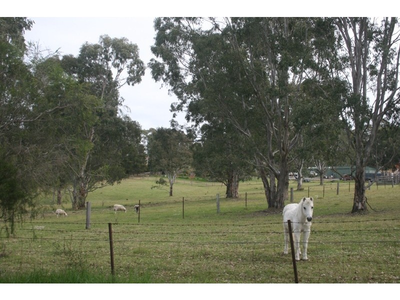 Moruya NSW 2537
