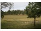 Moruya NSW 2537