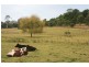 Moruya NSW 2537