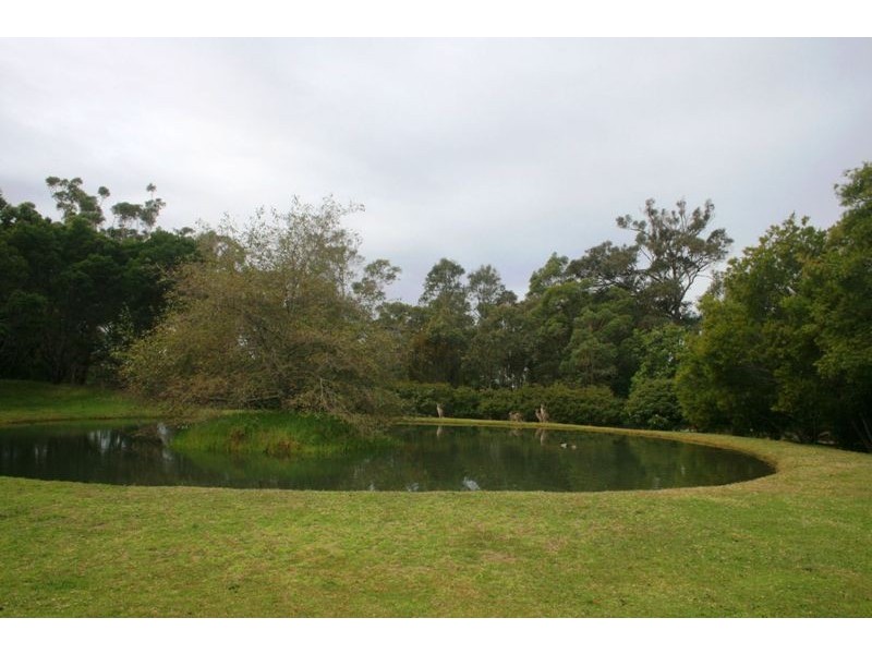 Bingie NSW 2537