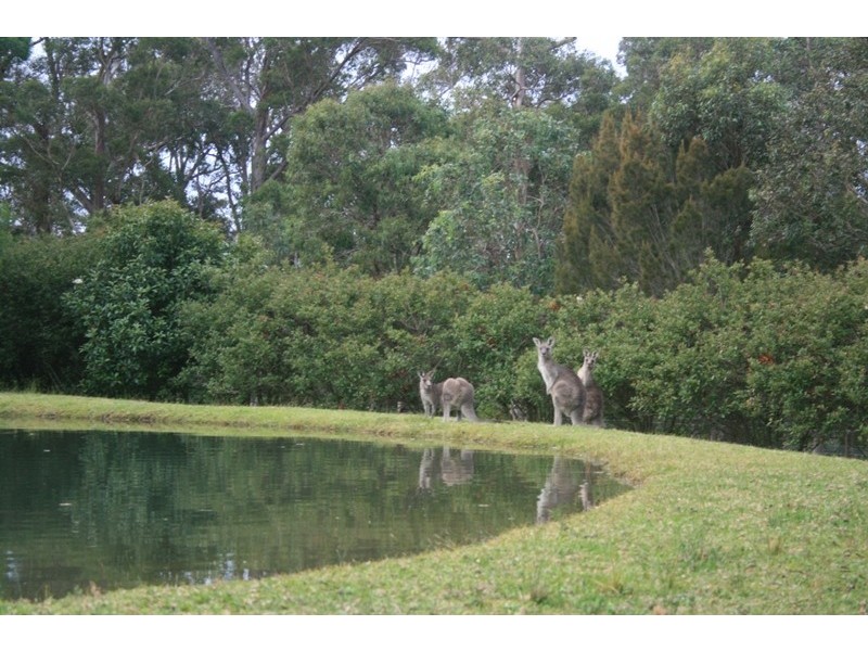 Bingie NSW 2537