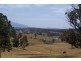 Coolagolite NSW 2550