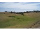 Coolagolite NSW 2550
