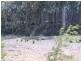 Batemans Bay NSW 2536